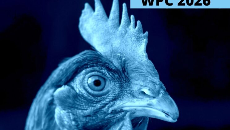What You Need to Know About WPC 2026
